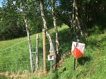 Nær o-løp på Hydla
